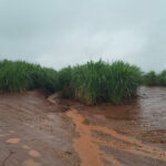 Chuvas intensas elevam risco de erosão do solo e exigem manejo mais rigoroso no campo