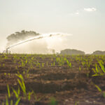 SP atinge R$ 56 milhões em crédito para irrigação sustentável