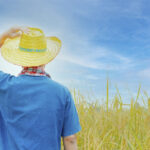 Uso de capacete no campo não é obrigatório de forma geral