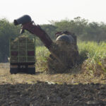 Venda de etanol hidratado soma 1,60 bilhão de litros em janeiro no Centro-Sul