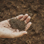 IAC reúne 165 laboratórios em análise de solos