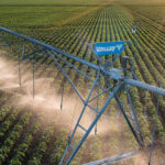 Ondas de calor triplicam impacto no campo brasileiro