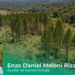 Espécies exóticas invasoras no Estado de São Paulo, risco ambiental e desafios para a restauração ecológica