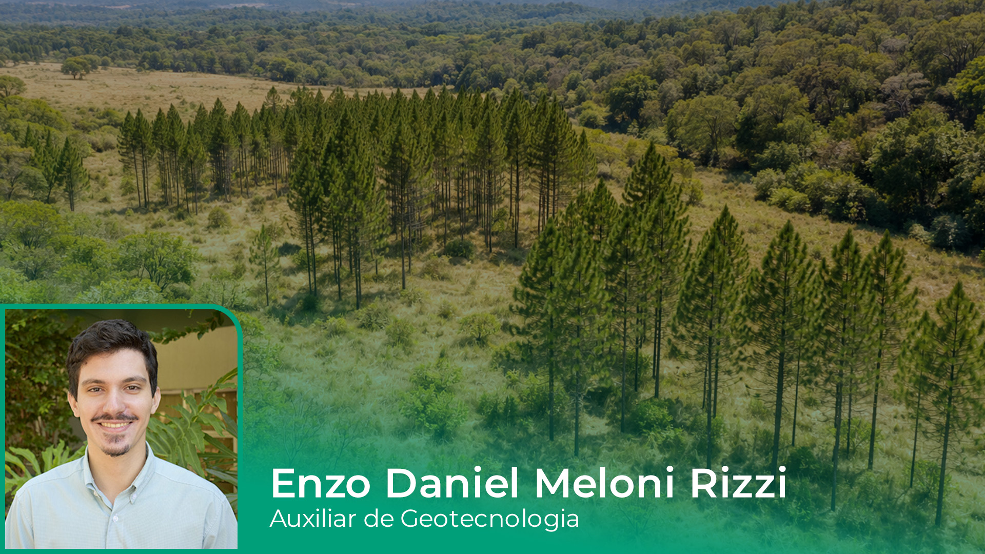 Espécies exóticas invasoras no Estado de São Paulo, risco ambiental e desafios para a restauração ecológica