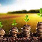 Crédito rural cresce 7% e soma R$ 354,4 bilhões no Plano Safra