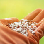 Rússia suspende exportações e eleva risco nos fertilizantes