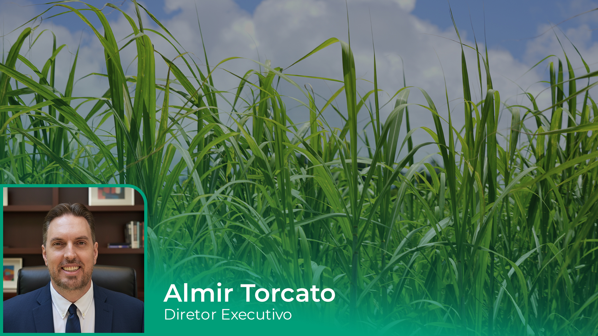 Safra 2026/27 começa sob pressão e maior volatilidade