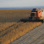 Exportação de soja pressiona fretes no início de 2026