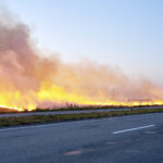 SP cria programa para prevenir incêndios em rodovias