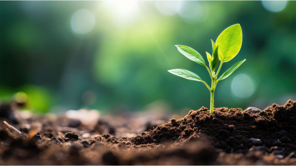 BioSummit 2026 destaca setor de bioinsumos de R$ 6,2 bi