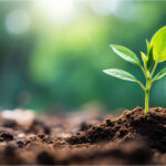 BioSummit 2026 destaca setor de bioinsumos de R$ 6,2 bi