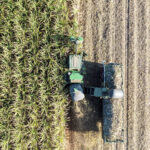 Safra mineira de cana cresce 11,6% e reforça oferta no Centro-Sul