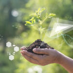 Biológicos avançam na cana e movimentam R$ 716 mi em 2025