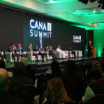 Juros altos e crédito pressionam investimento na cana