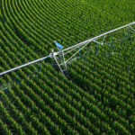 Irrigação por dados reduz custos e ganha espaço no campo