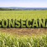 Consecana-SP avança com acordo e encaminha revisão do modelo