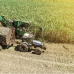 Conab projeta safra de cana em 673,2 mi t no Brasil