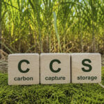 Brasil amplia áreas mapeadas para projetos de captura de carbono