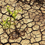 El Niño acende alerta para safra e energia no Brasil em 2026/27