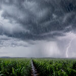 El Niño forte amplia riscos climáticos e pressiona commodities agrícolas