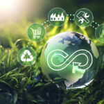 Economia circular avança, mas consumo sustentável enfrenta barreiras