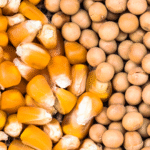 Commodities agrícolas têm semana de ajustes e maior cautela