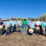 Tecnologias de manejo ganham espaço na busca por produtividade