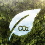 São Paulo planeja primeira usina de carbono para etanol de cana