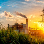 Curtailment pressiona cogeração e amplia desafios da biomassa