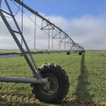 Irrigação ganha espaço como estratégia contra riscos climáticos