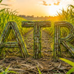 Mercado coloca formação do ATR em debate