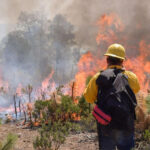 Governo de SP amplia plano de estiagem com foco em incêndiosv