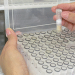 Brasil terá estrutura para acelerar registro de bioinsumos
