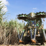 Tereos amplia uso de colhedoras e reduz consumo de diesel