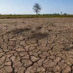 Guia orienta empresas a se preparar para impactos do El Niño