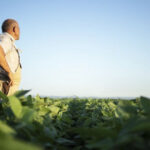 Dia do Agricultor: manejo ganha peso diante do clima instável