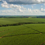 Tereos refina manejo do solo para ampliar produtividade da cana