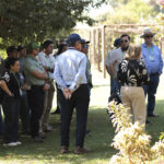 Fazenda Bom Destino mostra manejo da cana a técnicos latino-americanos