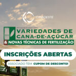 Manejo varietal afeta produtividade dos canaviais