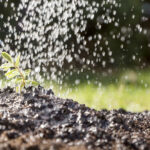 Gestão por dados avança na irrigação e amplia eficiência no campo