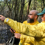 Manejo integrado do fogo ganha espaço na prevenção de incêndios