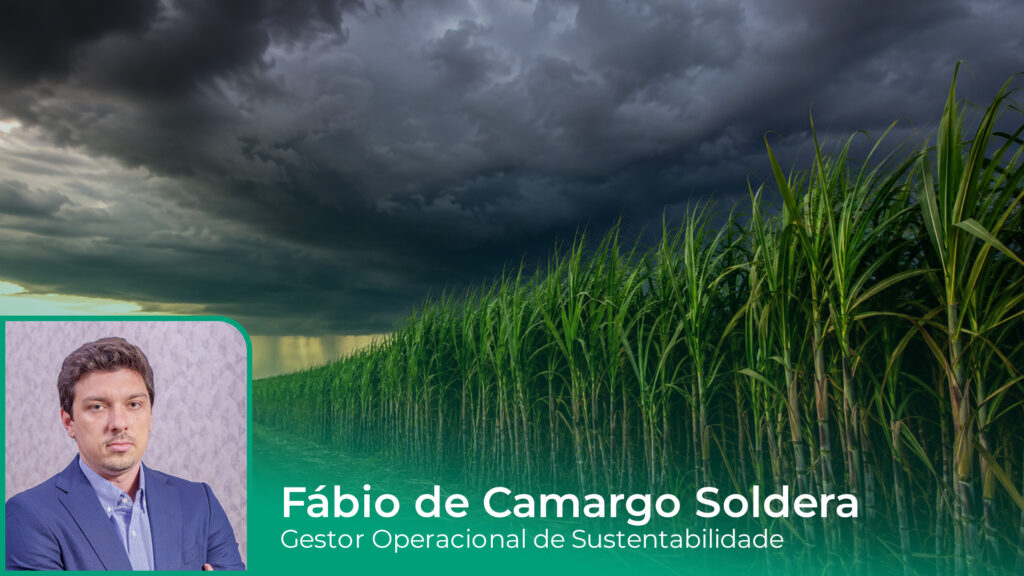Super El Niño exige vigilância redobrada para proteger canaviais