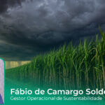Super El Niño exige vigilância redobrada para proteger canaviais