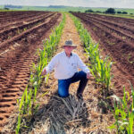 CTC9007 alcança 199,2 toneladas por hectare em Colina