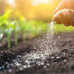 Setor de fertilizantes alerta para queda nas entregas ao produtor