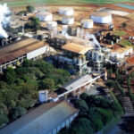 Batatais amplia em 165% investimentos em cana-de-açúcar