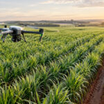 Inteligência artificial no agro será tema de encontro tecnológico em SP