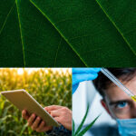 Curso aborda controle de qualidade de fertilizantes especiais