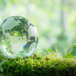 Indústria defende conservação ambiental com crescimento econômico